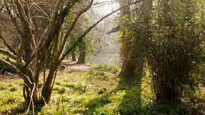 Brockhill Country Park