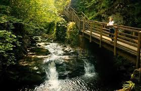 Glenariff Forest Park