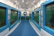 Mevagissey Aquarium