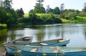 Dungannon Park