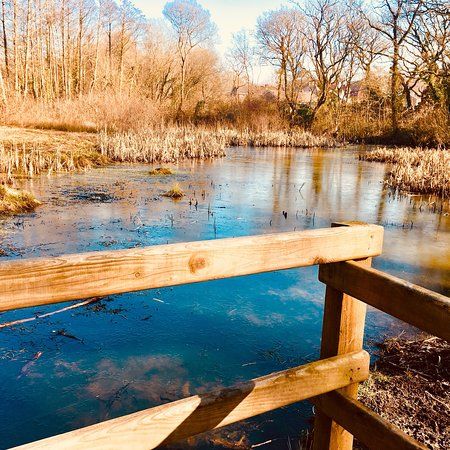 Coed Bach Park