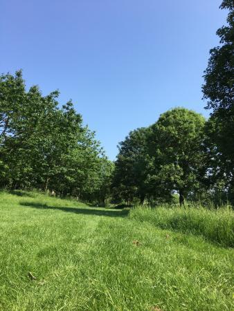 Central Park