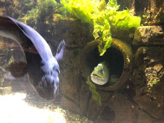 Exploris
