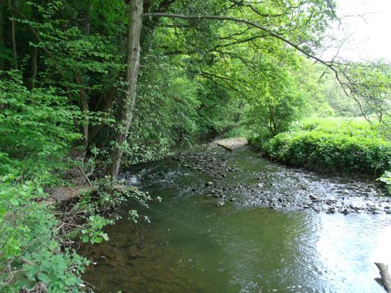 Knapp & Papermill Reserve