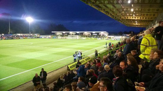 The New Lawn Stadium