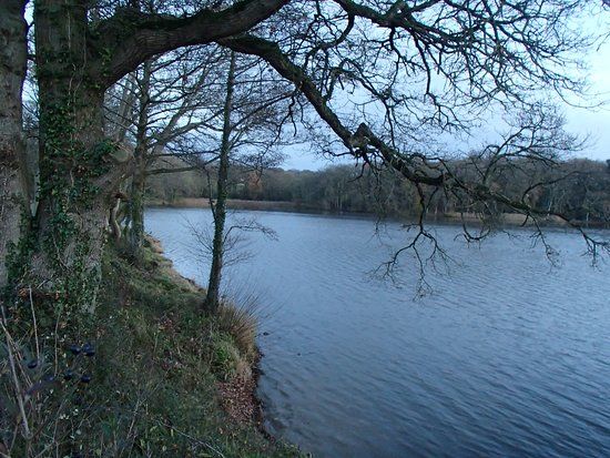 Chard Reservoir