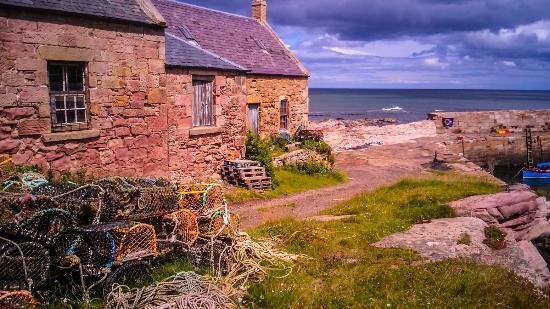 Cove Harbour