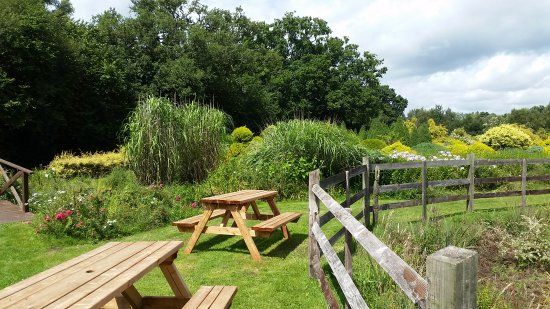 Aurelia Gardens and Tea Rooms