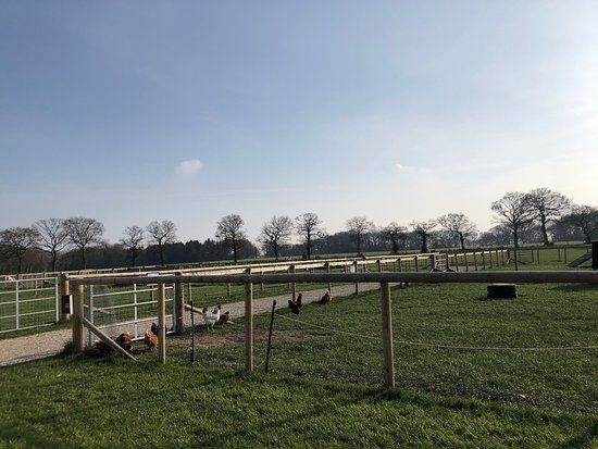 Attwell Farm Park