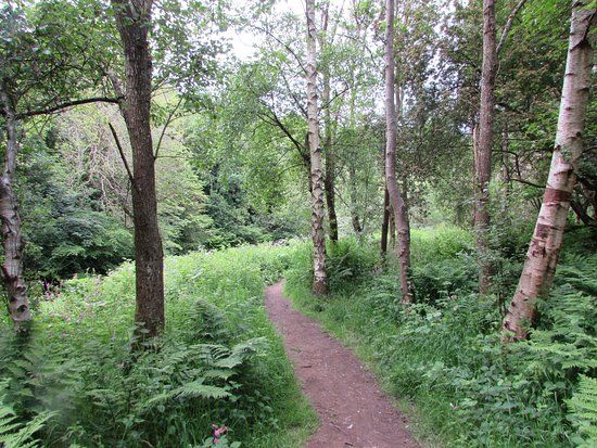 Roslin Glen Country Park