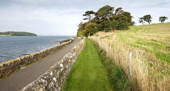 Nugent's Wood