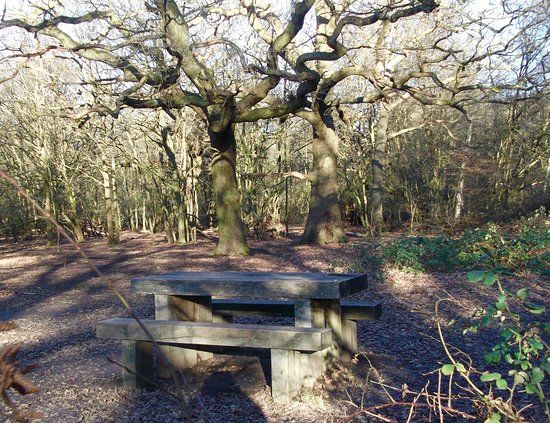 Epping Forest