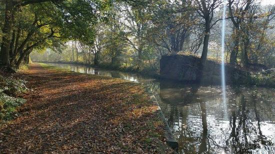 Pooley Country Park