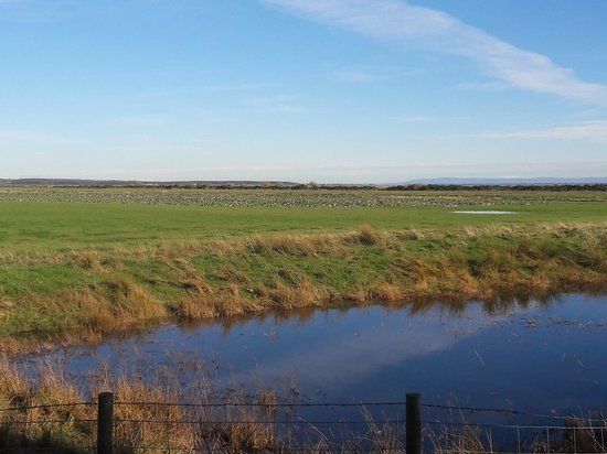 WWT Caerlaverock Wetland Centre