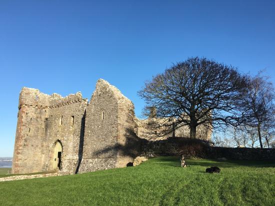 Weobley Castle