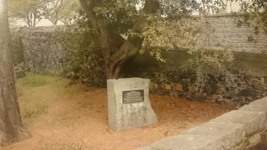 Sargeant Samuel Macdonald's Grave