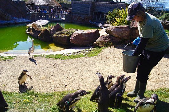 Peak Wildlife Park