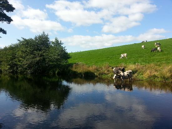 Leeds and Liverpool Canal