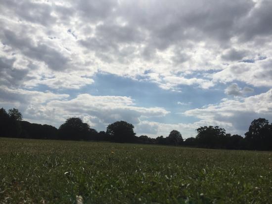 Hillingdon Court Park