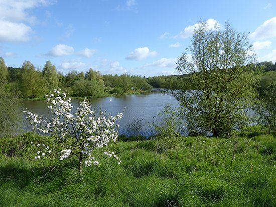 Sence Valley Forest Park