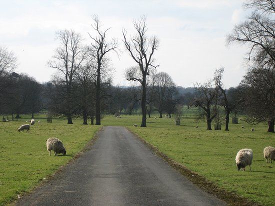 Dalton Estate