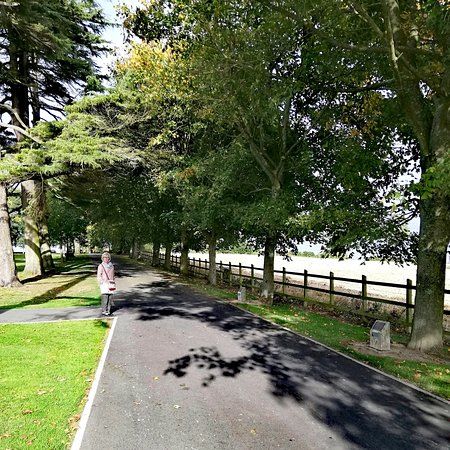 Moira Demesne