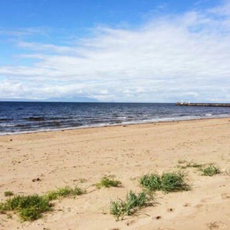 Ayr Beach