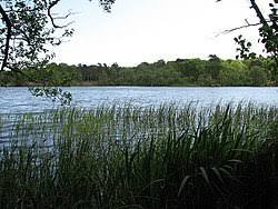 Fritton Lake