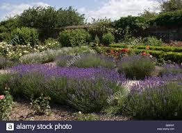 Waltham Abbey Gardens