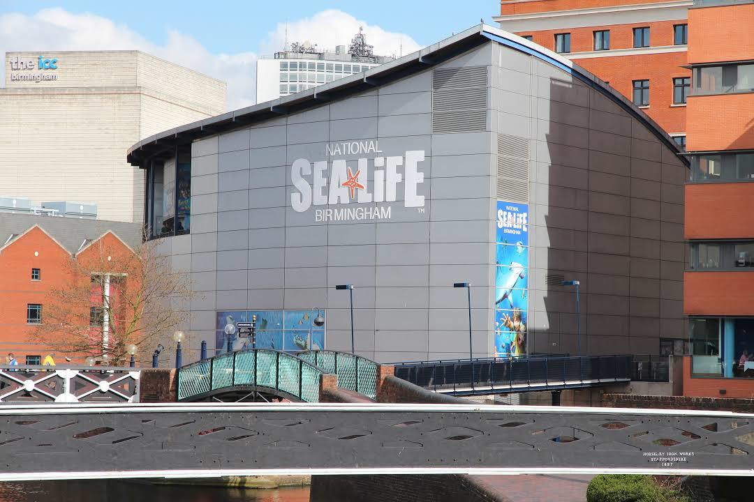 National SEA LIFE Centre Birmingham