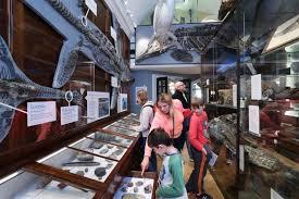 Lyme Regis Museum