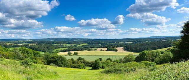 Surrey Hills Area of Outstanding Natural Beauty