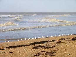 Doniford Beach