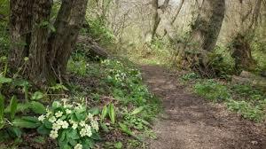 Newbourne Springs