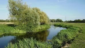 Staines Moor