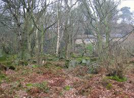 Shining Cliff Woods