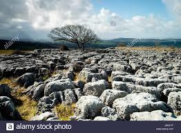 Farleton Knott