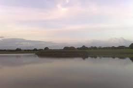 Arran View Fishery