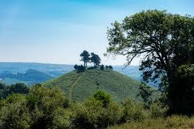 Colmer's Hill