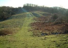 Midsummer Hill