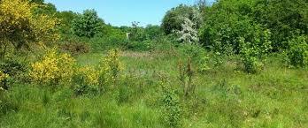 Bramley Bank