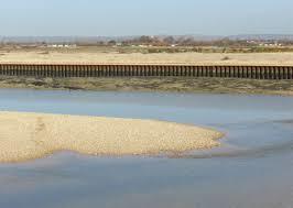 Pagham Harbour