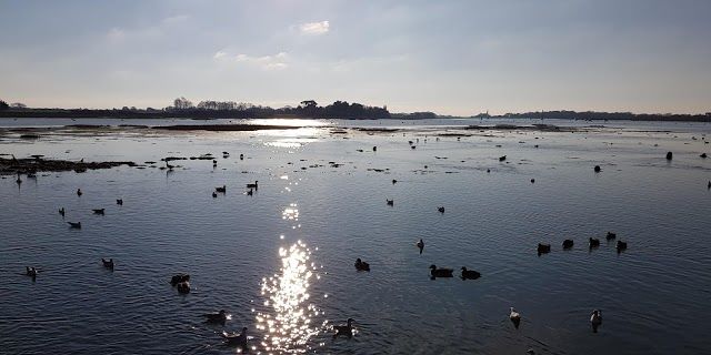 Bosham Quay