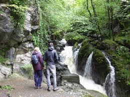Dinas Rock