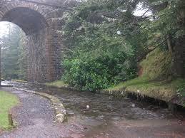 Ballypatrick Forest