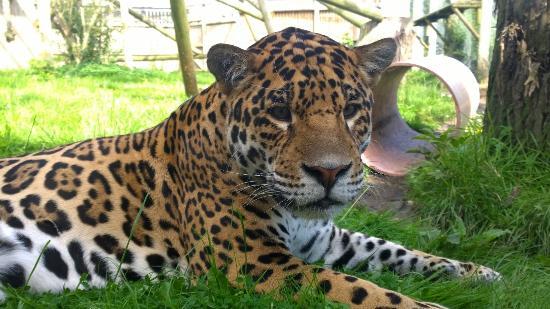 Wingham Wildlife Park