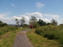 Windy Nook Nature Park