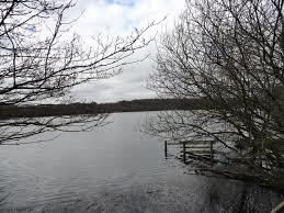 McNeil Bottoms