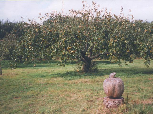 No Man's Orchard