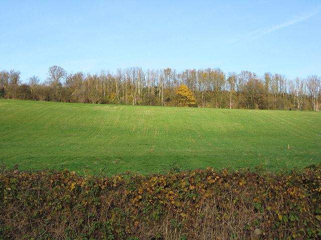 Sutton Walls Hill Fort